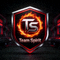 Team Spirit战队Logo标志图